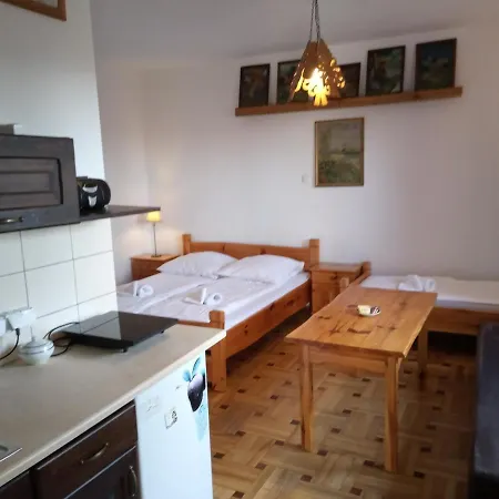 Willa Na Bani - Apartamenty I Pokoje Rabka-Zdrój Exterior foto